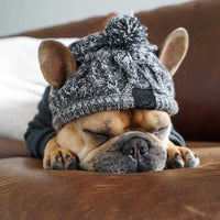 Tuque à pompon