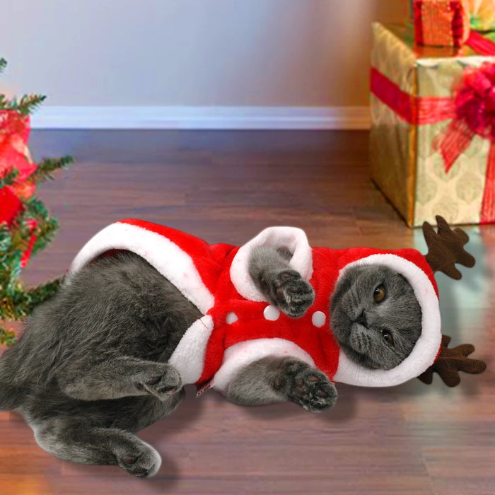 Costume de père Noël pour chien