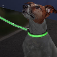 Collier lumineux DEL