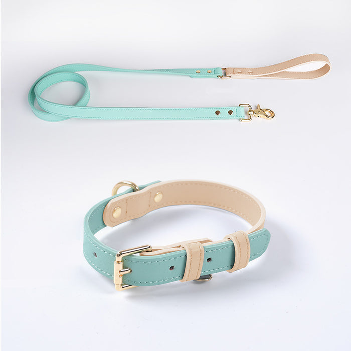 Leather Collar and Leash Set