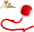 Interactive rope ball for dogs and cats