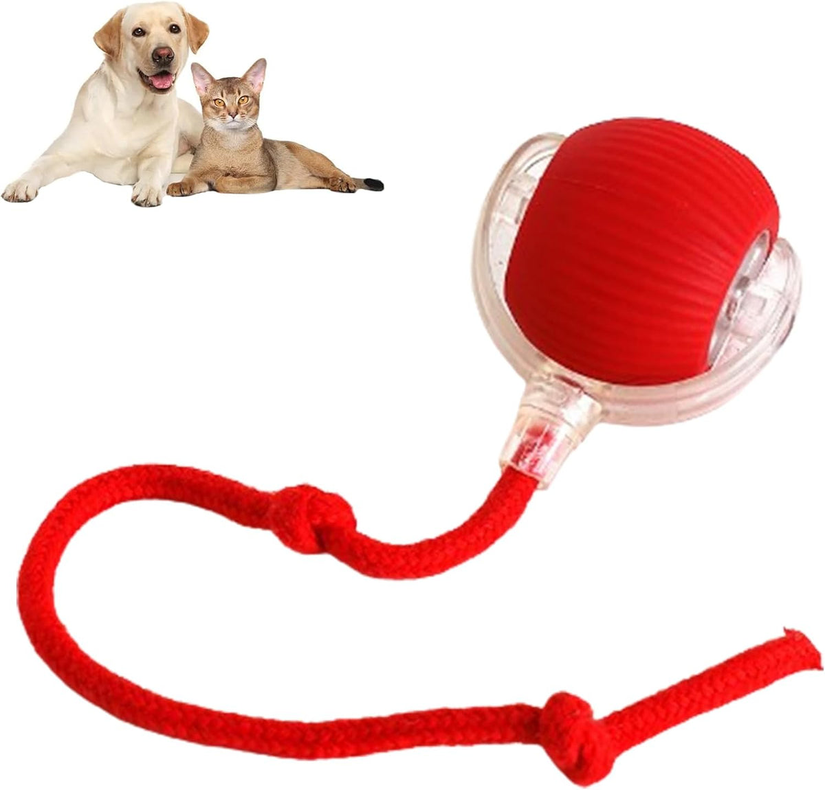 Balle interactive à corde pour chien et chat