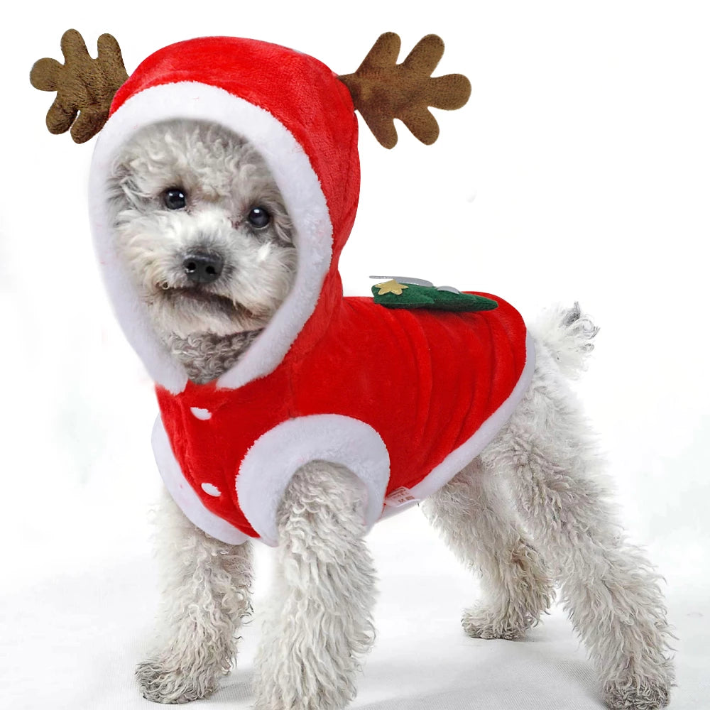 Costume de père Noël pour chien