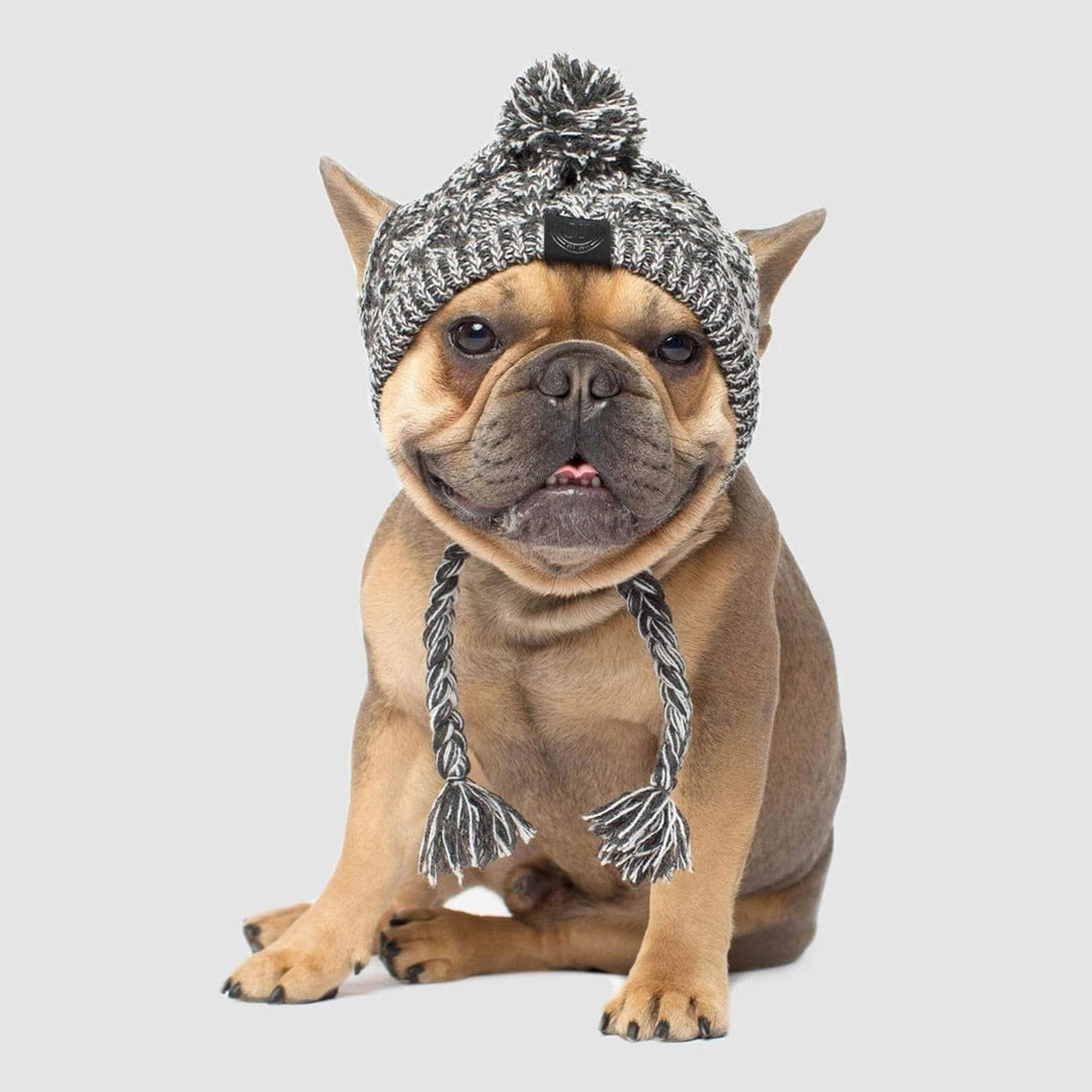 Tuque à pompon pour chien