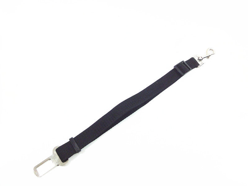 Ceinture de sécurité pour chien