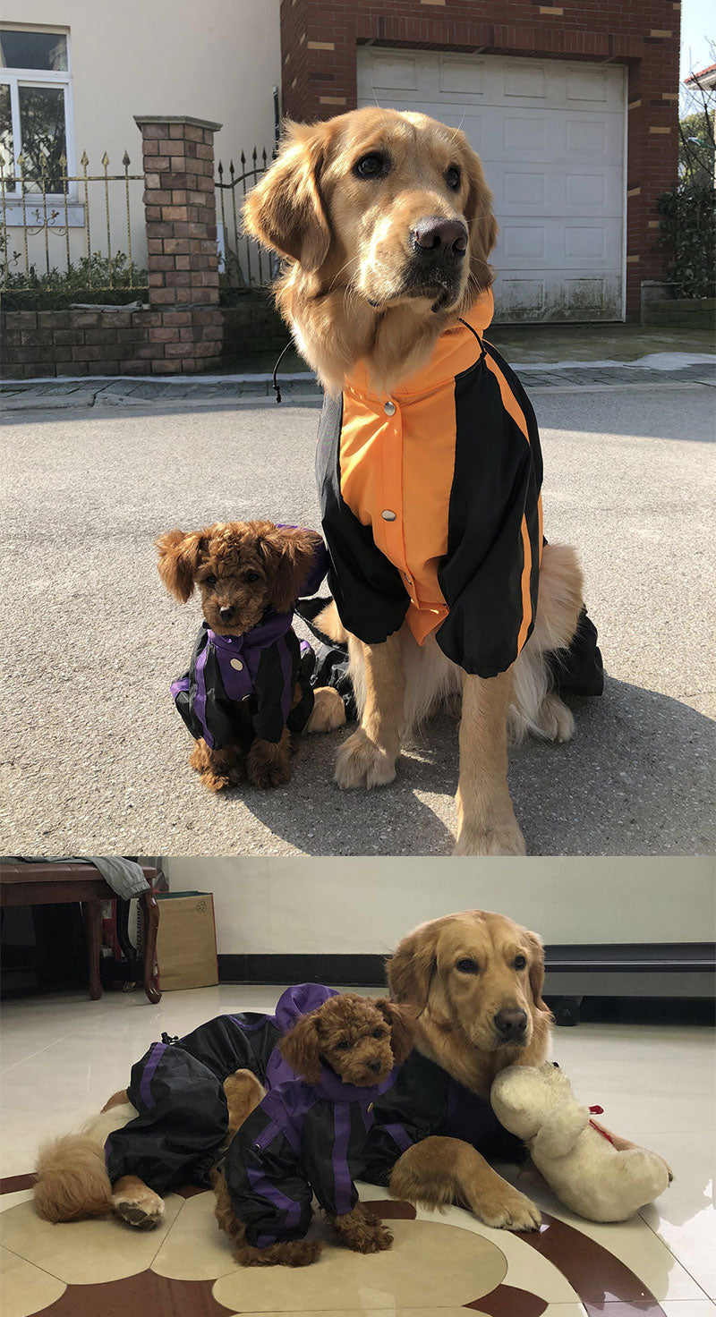 Imperméable pour chien, détail