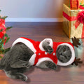 Santa Claus dog costume