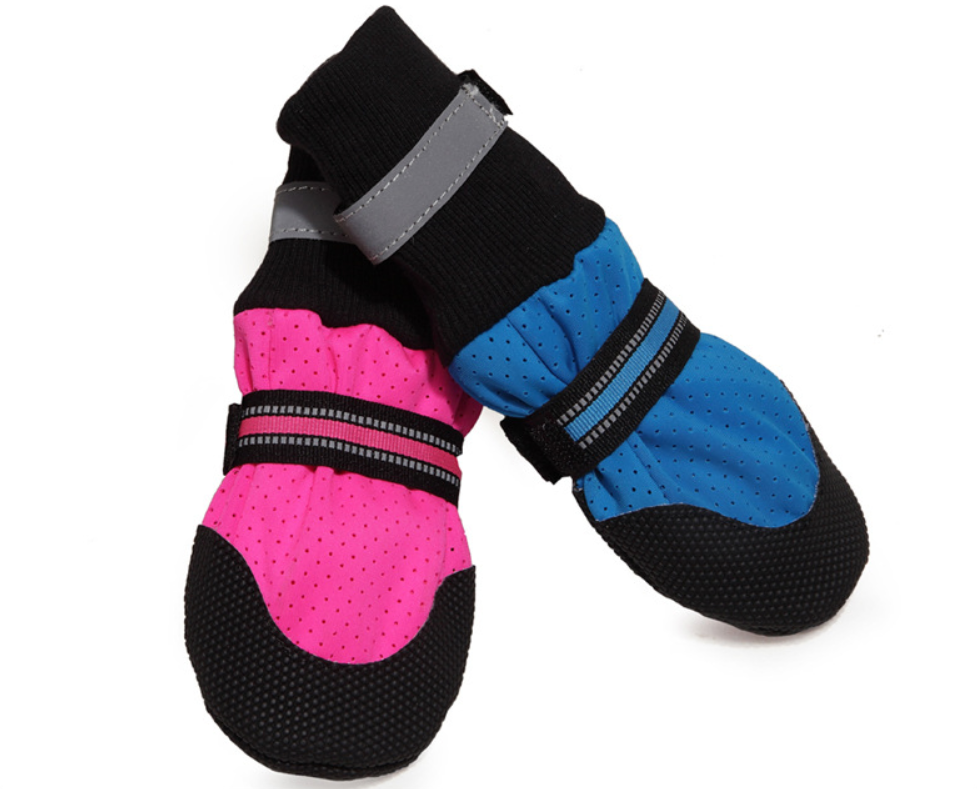 Bottes pour chien bleue et rose avec sangles réfléchissantes