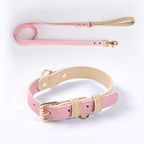 Ensemble collier et laisse en cuir