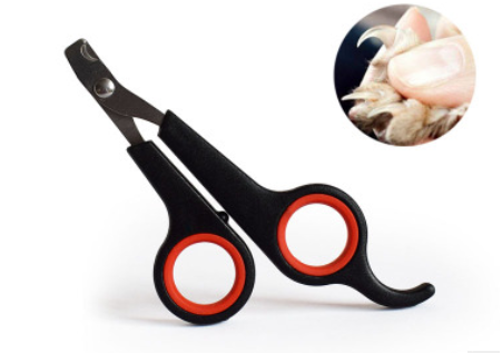 Coupe-griffes pour chien et chat