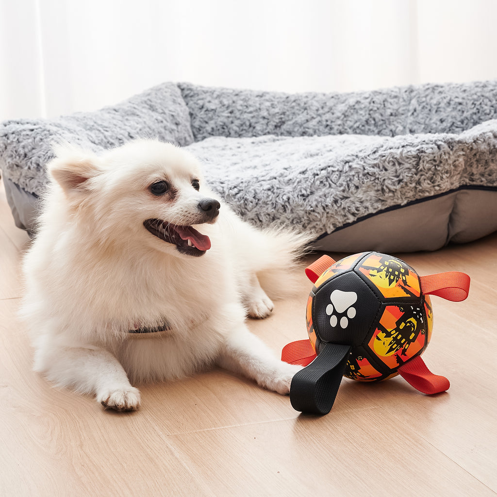 Christmas dog ball with straps