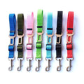 Ceinture de sécurité pour chien