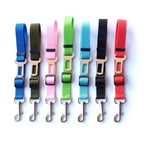 Ceinture de sécurité pour chien