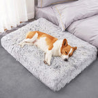 Matelas en mousse mémoire et peluche pour chien