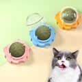 Wall-mounted catnip ball