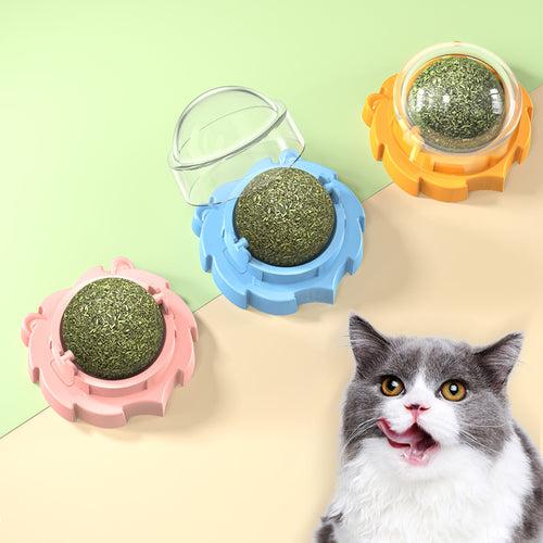 Boule d'herbe à chat murale