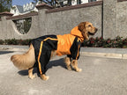 Imperméable pour chien, couleurs