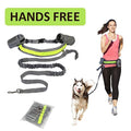 Hands-free leash with waist belt