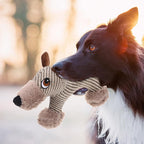 Peluche couineuse pour chien