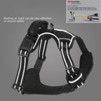Black no-pull harness