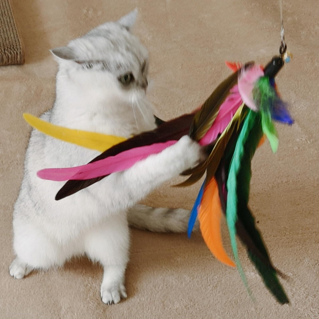 Retractable feather wands for cats