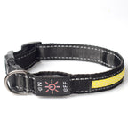 LED light-up collar, detail
