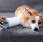 Dog next to the paw cleaner