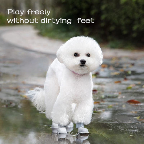 Petit chien blanc portant les bottes en silicone