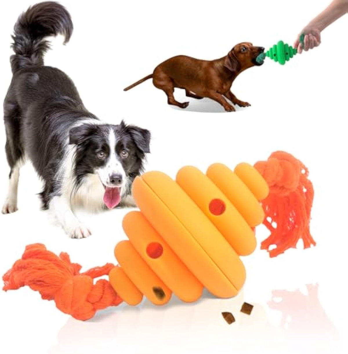 Balle avec corde pour chien