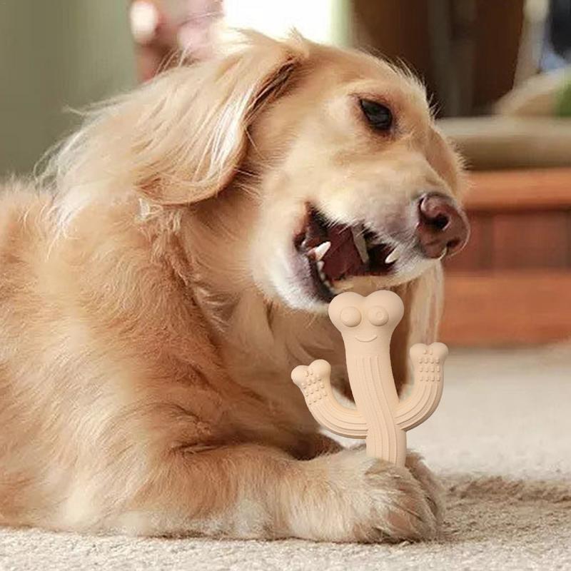 Jouet à mâcher cactus pour chien