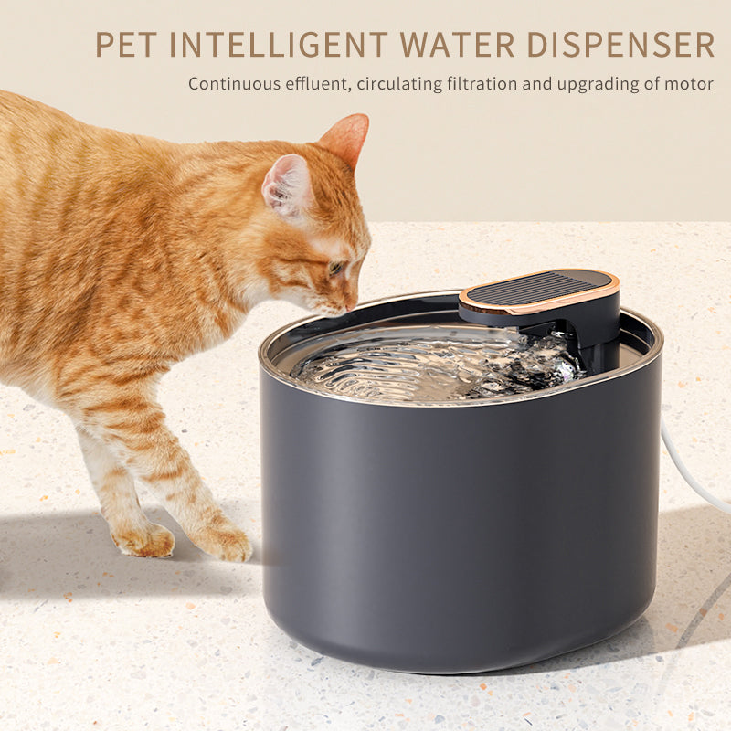 Fontaine à eau USB pour chat