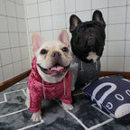 Fleece dog hoodie