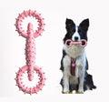 Rubber chew ring for dogs