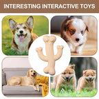 Jouet à mâcher cactus pour chien