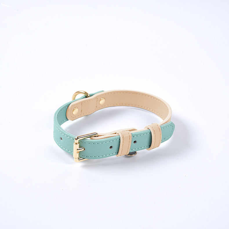 Ensemble collier et laisse en cuir