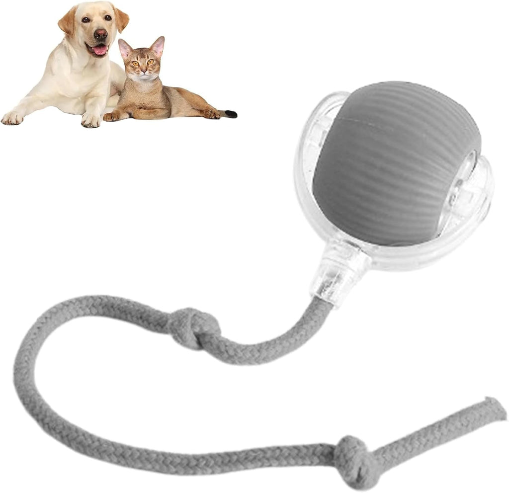 Interactive rope ball for dogs and cats