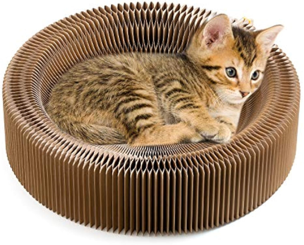 Griffoir-lit rond pliable en carton pour chat