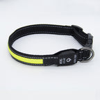 LED light-up collar