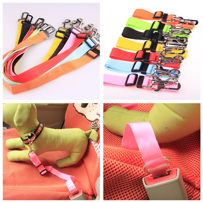 Ceinture de sécurité pour chien