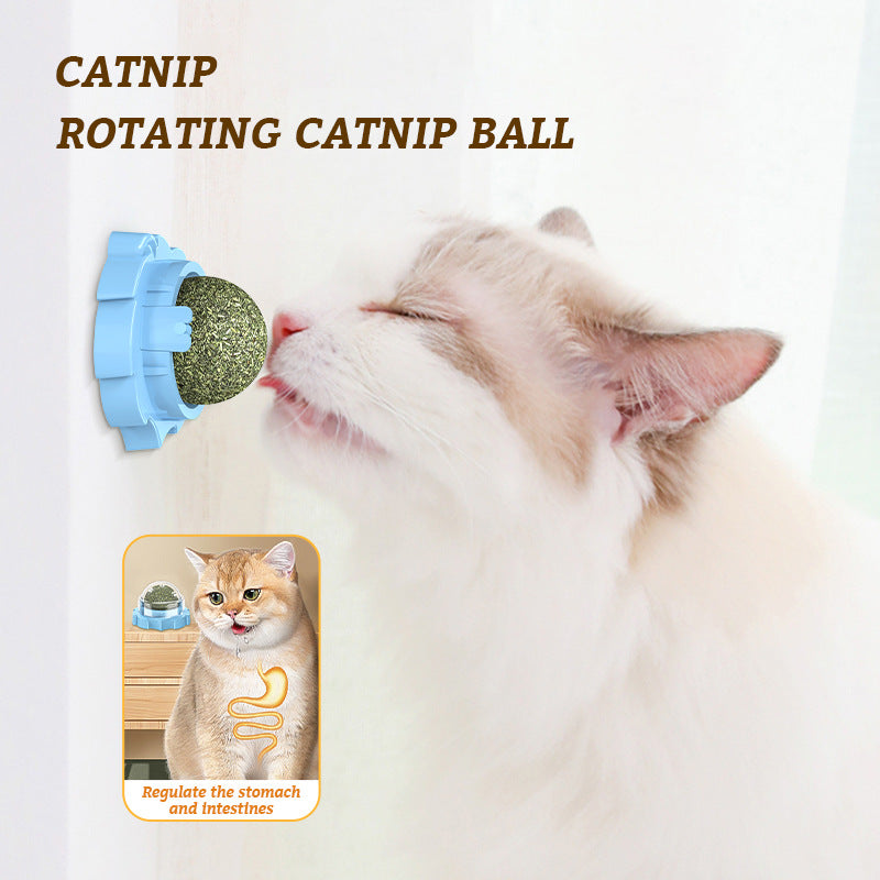 Wall-mounted catnip ball