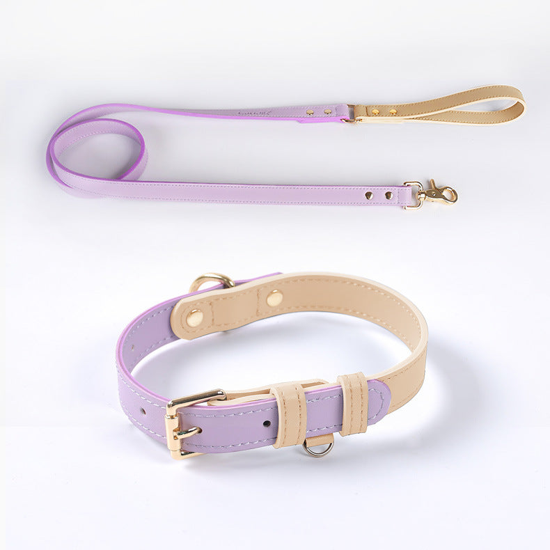 Ensemble collier et laisse en cuir
