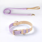 Ensemble collier et laisse en cuir