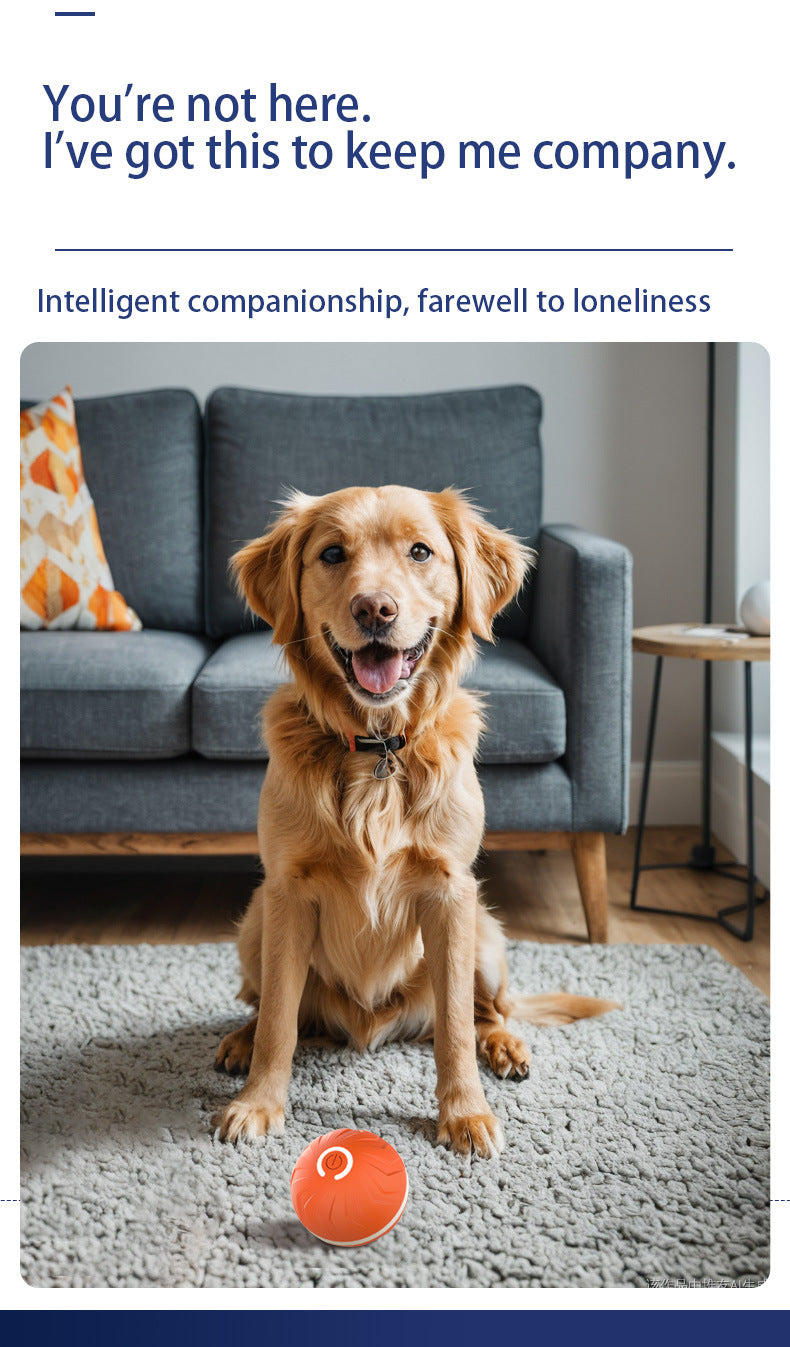 Balle rebondissante intelligente pour chien