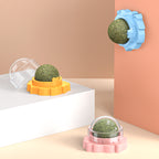 Wall-mounted catnip ball