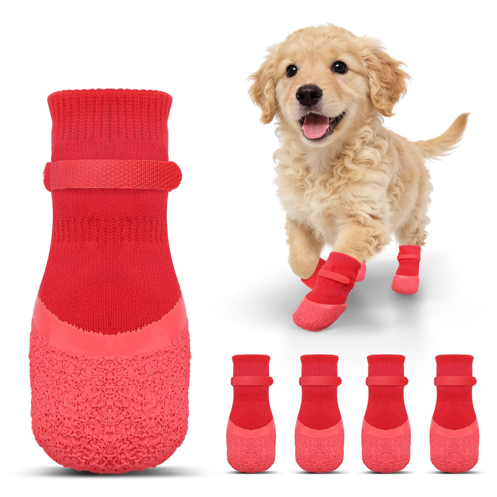 Chien portant les chaussettes antidérapantes