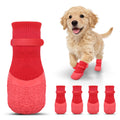 Chien portant les chaussettes antidérapantes