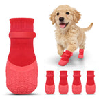 Chien portant les chaussettes antidérapantes