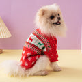 Petit chien portant le pull de Noël