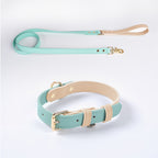 Ensemble collier et laisse en cuir