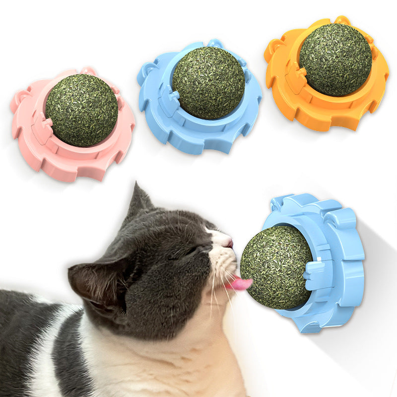Wall-mounted catnip ball